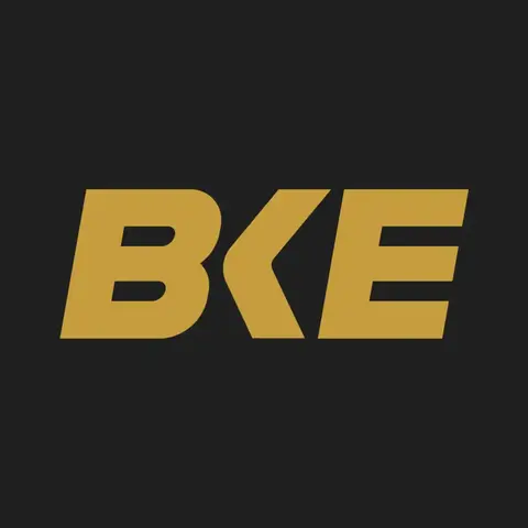 Bat King Europe logo