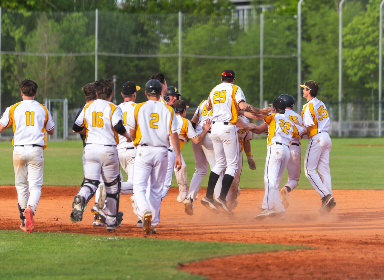 Haar Disciples players celebrate walk-off win against Regensburg in German Baseball League