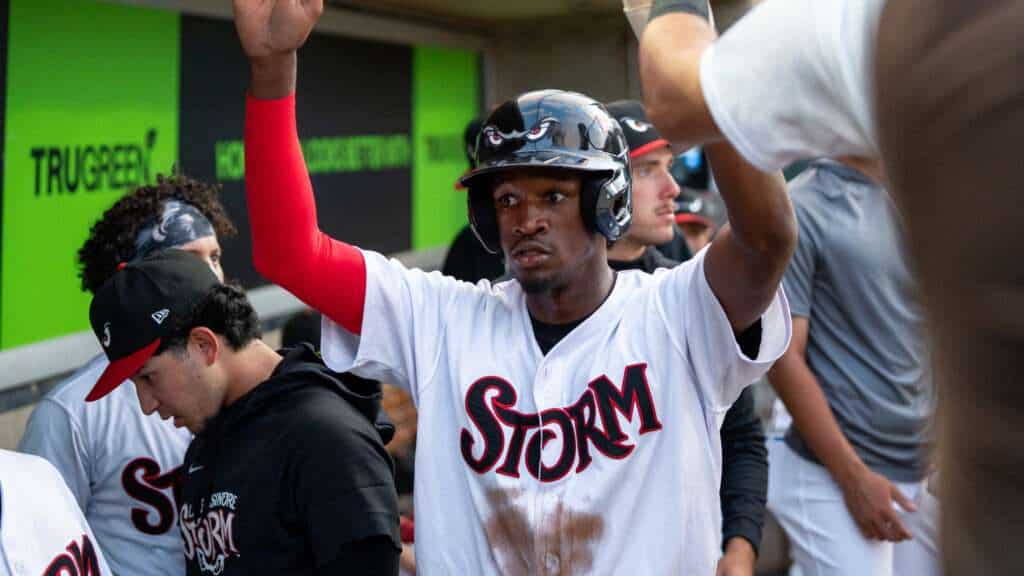 Lake Elsinore Storm player celebrates with teammates during the 2026 season